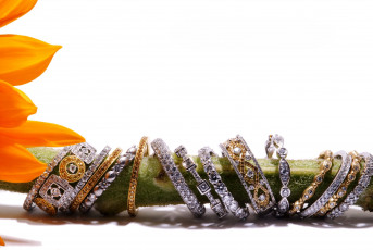 Картинка разное украшения +аксессуары +веера кольца