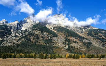 Картинка природа горы облака деревья