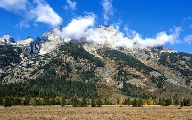 Обои картинки фото природа, горы, облака, деревья