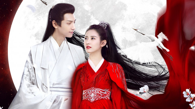 Обои картинки фото кино фильмы, -unknown , другое, and, the, winner, is, love