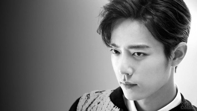 Обои картинки фото мужчины, xiao zhan, актер, лицо