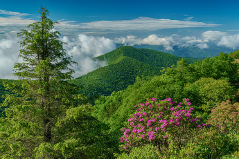 Картинка природа горы лето