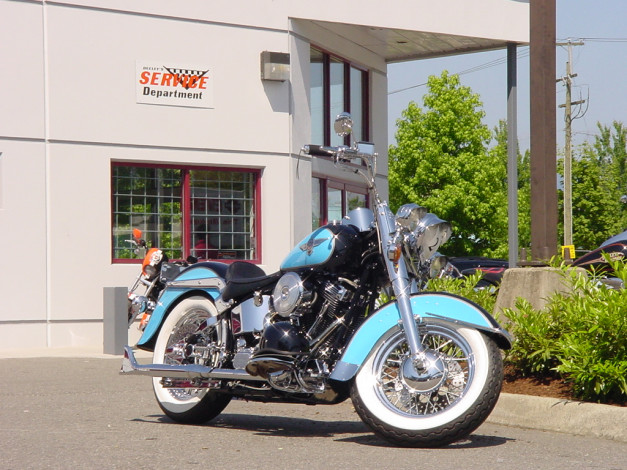 Обои картинки фото мотоциклы, harley, davidson