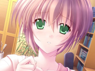 Картинка аниме canvas