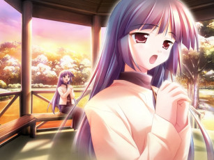 Картинка аниме canvas