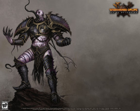 Картинка видео игры warhammer online age of reckoning