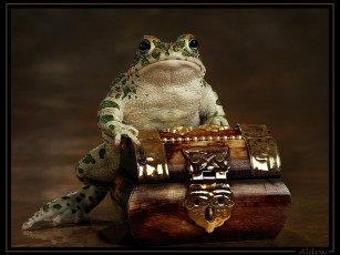 Картинка алдра гобсек животные лягушки