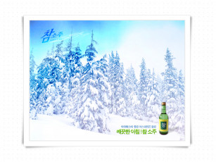 обоя charmsoju, бренды