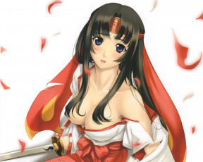 Картинка queen`s blade аниме