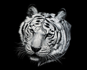 Картинка рисованные животные