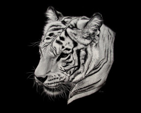 Картинка рисованные животные