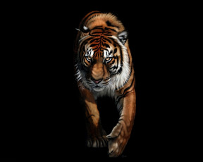 Картинка рисованные животные