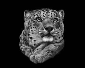 Картинка рисованные животные