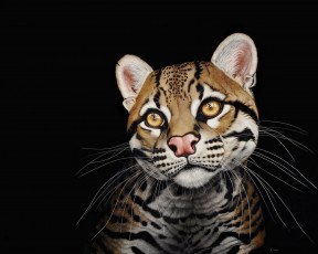 Картинка рисованные животные