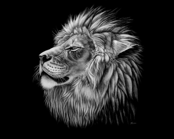 Обои картинки фото рисованные, животные