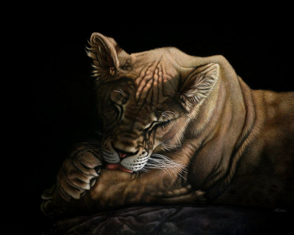 Обои картинки фото рисованные, животные