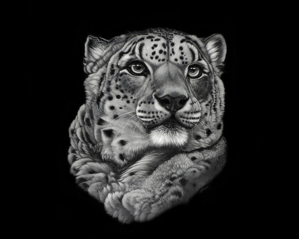 Обои картинки фото рисованные, животные