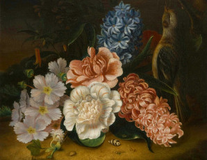 Картинка pieter casteels iii рисованные гиацинт