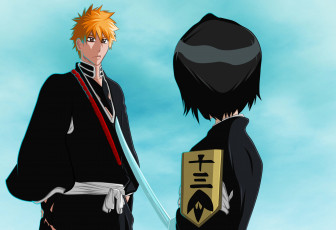 Картинка аниме bleach kurosaki ichigo kuchiki rukia