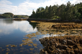 Картинка природа реки озера лочайнвер великобритания