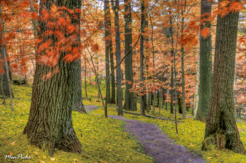 Картинка park of the coaticook gorge in estrie природа парк квебек