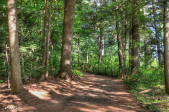 Картинка природа дороги квебек