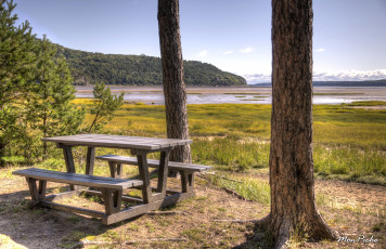 Картинка природа деревья квебек