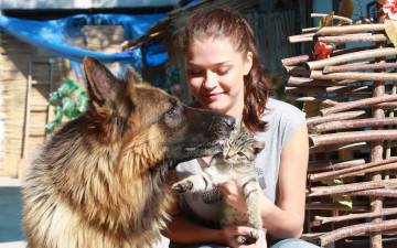 Картинка _Unsort+-НЕ+ВЫБИРАТЬ++ liza девушки  не выбирать собака кошка девушка liza+j