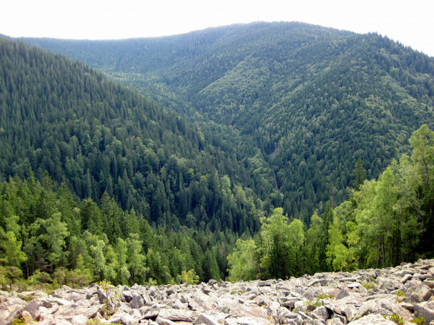 Обои картинки фото природа, горы, украина, закарпатье