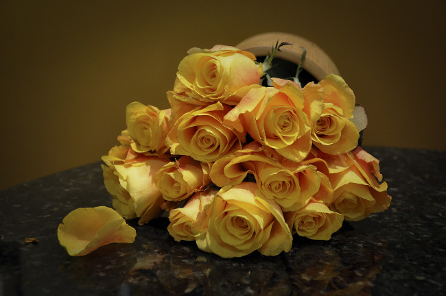 Обои картинки фото цветы, розы, букеты