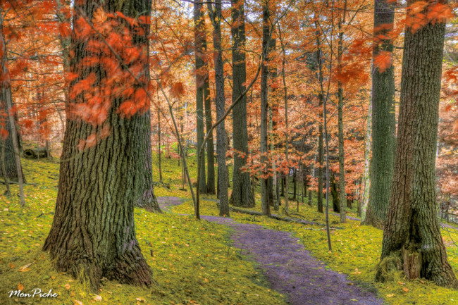 Обои картинки фото park, of, the, coaticook, gorge, in, estrie, природа, парк, квебек