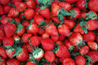 Картинка еда клубника земляника ягоды много