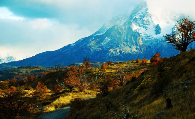 Обои картинки фото природа, горы, деревья, трава, долина