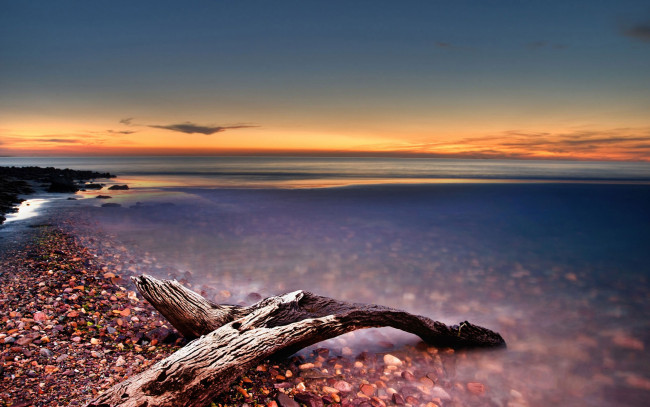 Обои картинки фото природа, побережье, коряга, тучи, океан, пляж