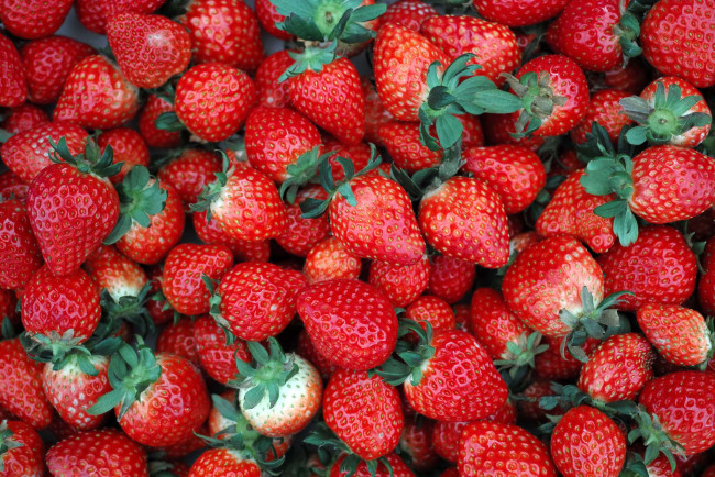 Обои картинки фото еда, клубника, земляника, ягоды, много
