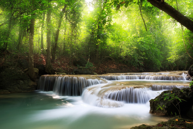 Обои картинки фото природа, реки, озера, поток, вода, деревья