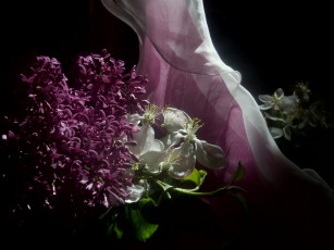 Картинка цветы разные+вместе яблоня сирень тюль