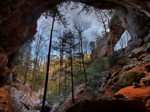 Картинка природа горы деревья теснина