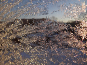 Картинка природа макро стекло зима иней