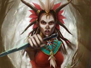 Картинка видео+игры diablo+iii +reaper+of+souls арт reaper of souls diablo iii witch doctor девушка шаман раскраска кинжалы