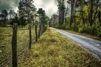 Картинка природа дороги лес шоссе изгородь
