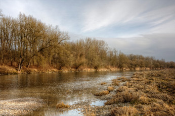 Картинка природа реки озера река лес