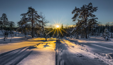 Картинка природа зима снег лес солнце