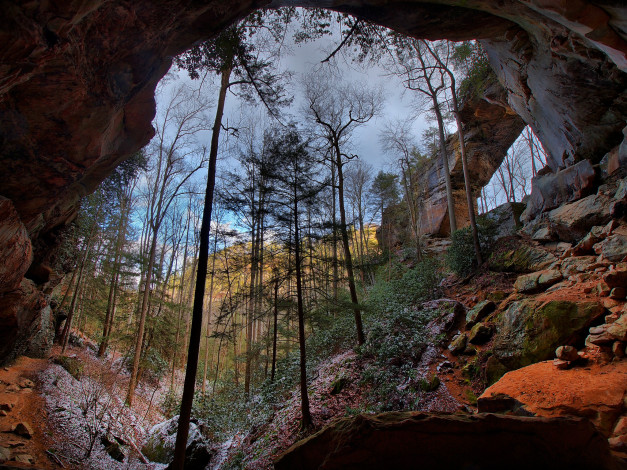 Обои картинки фото природа, горы, деревья, теснина