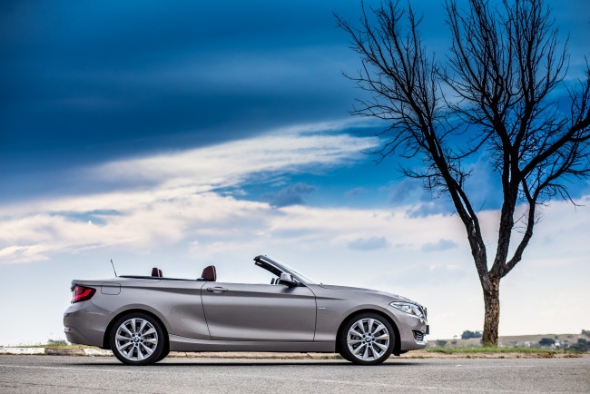 Обои картинки фото автомобили, bmw, светлый, 2015г, f23, za-spec, line, luxury, cabrio, 228i