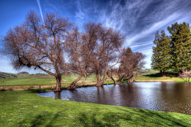 Обои картинки фото природа, реки, озера, водоем, деревья