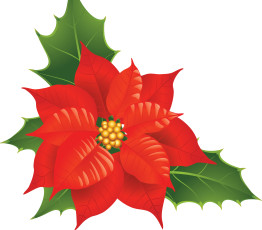 обоя векторная графика, цветы , flowers, цветок, лепестки, фон