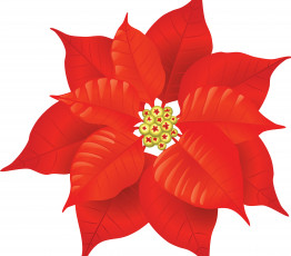 Картинка векторная+графика цветы+ flowers фон лепестки цветок