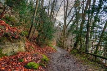 Картинка природа дороги тракт