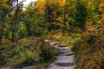 Картинка природа дороги тракт